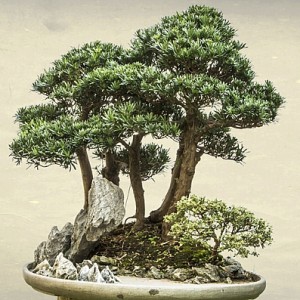 Studio dentistico a Verona | Studio dentistico Muraro (