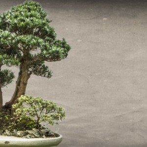 Studio dentistico a Verona | Studio dentistico Muraro 55