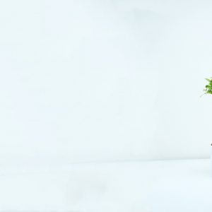 Studio dentistico a Verona | Studio dentistico Muraro 7