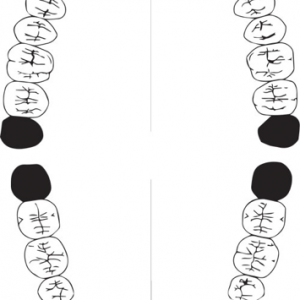 Bocca - Dentista a Verona - Studio Associato Muraro